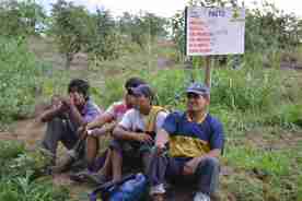 The sign behind the workers indicates what lies beyond - land and owner details, avocado variety (Haas), number of trees planted (700) and when (2007)